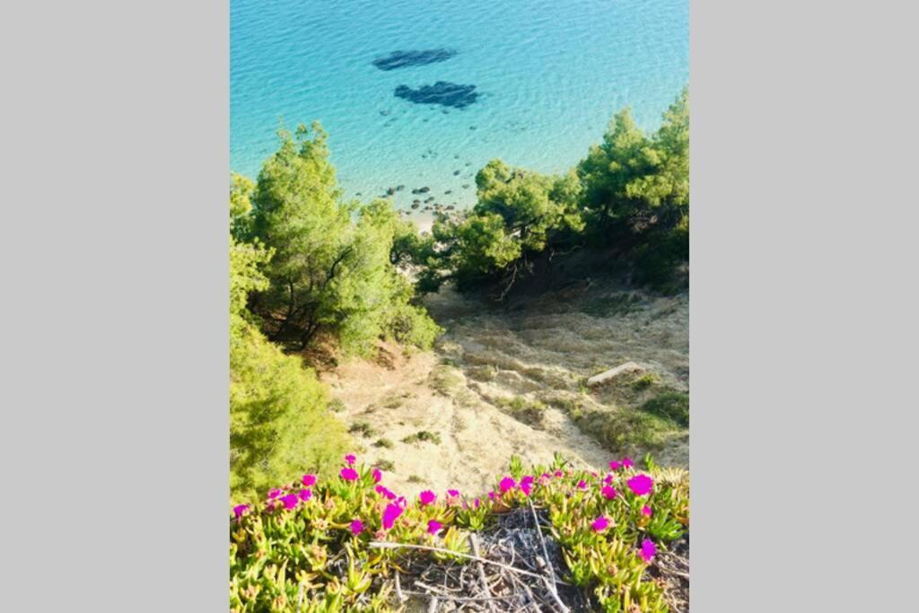 Family Apartment In Greece Καλάνδρα Εξωτερικό φωτογραφία